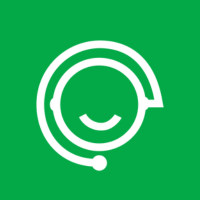 Mini Icon
