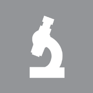 Mini Icon