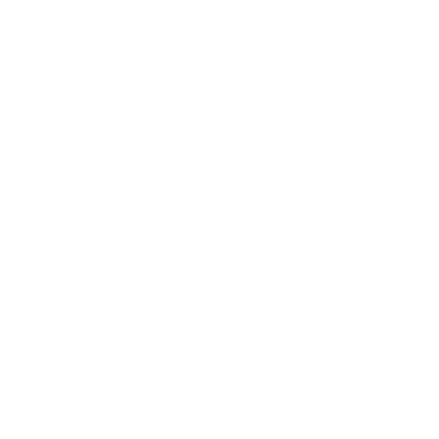 Hogan 360